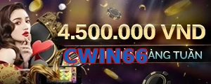 CWIN66