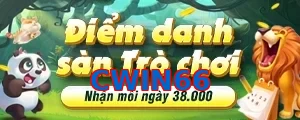 CWIN66