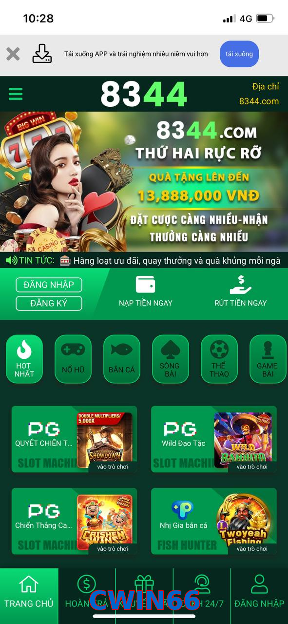 CWIN66